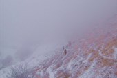 Зимний туман в горах